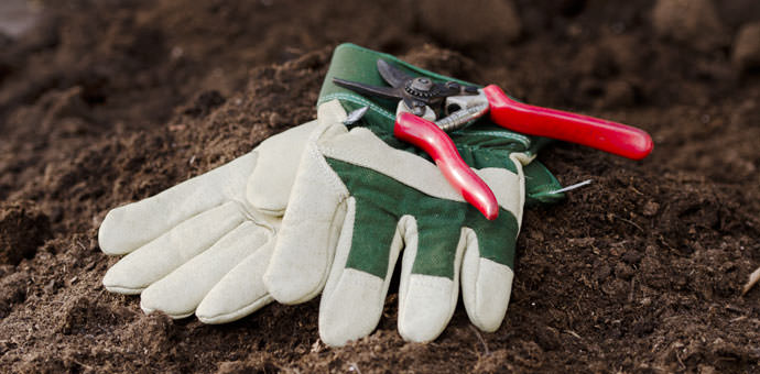 32+ Stellenmarkt Gärtner, Bei gartenbaujobs.net finden sie immer